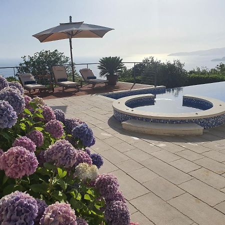 Luxury Villa Crystal Blue Sveti Stefan Dış mekan fotoğraf